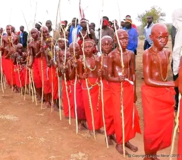  Limpopo | Department of Health allowed Initiation School to open with the permission of letting 400 kids to be Circumcised.