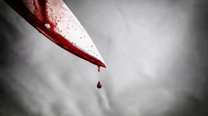 LIMPOPO | A 20-year-old man stabbed his mother to death at Maponto in Mohodi Ha Manthata.