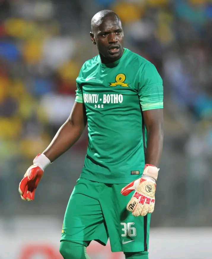  Mamelodi Sundowns are set to lose one of their star player to KZN Based club.