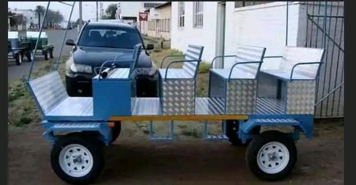  Limpopo man makes ‘donkey carts with seat belts and sound system’